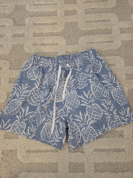 Other - Mens Chubbies Blue Pineapple Print Swim Shorts. Size Medium, 5.5 Inch Inseam